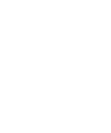 icon paint